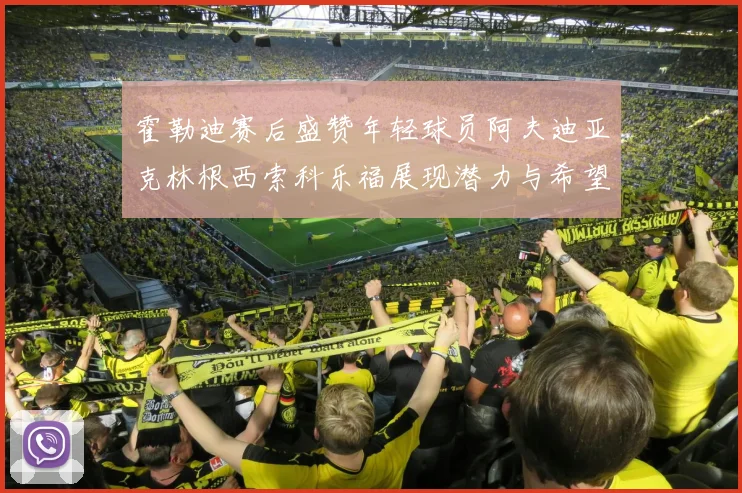 霍勒迪赛后盛赞年轻球员阿夫迪亚克林根西索科乐福展现潜力与希望